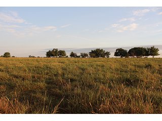 Tract 5 - LAND AUCTION - 440+/- Acres offered in 15 Tracts in Tulsa County